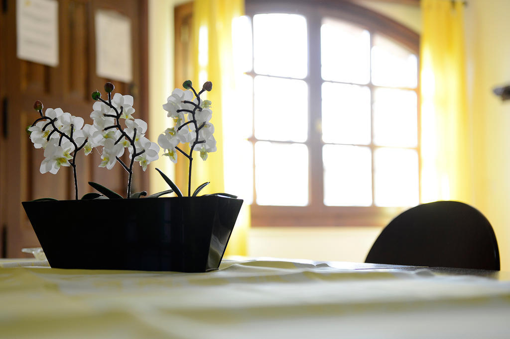 Apartamentos Bellavista Alquézar Chambre photo